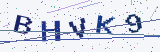 Security code: type the characters shown
